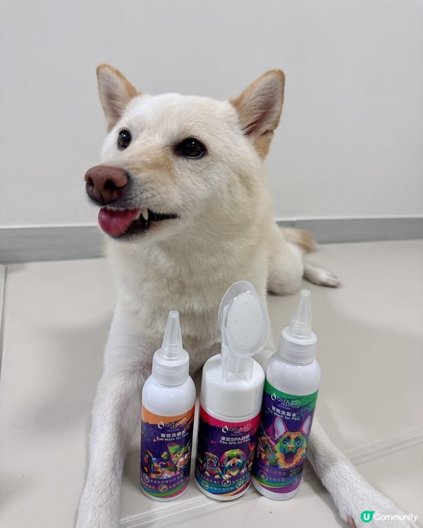 薏米咁開心攬住啲咩？！