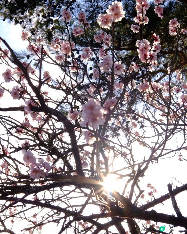 復活節去旅行✈️旅遊保險邊間好？