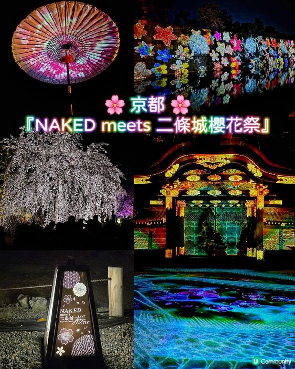 🌸京都『NAKED meets二條城櫻花祭』🌸