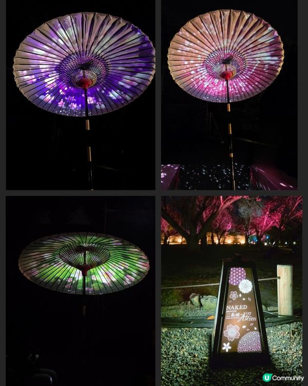 🌸京都『NAKED meets二條城櫻花祭』🌸