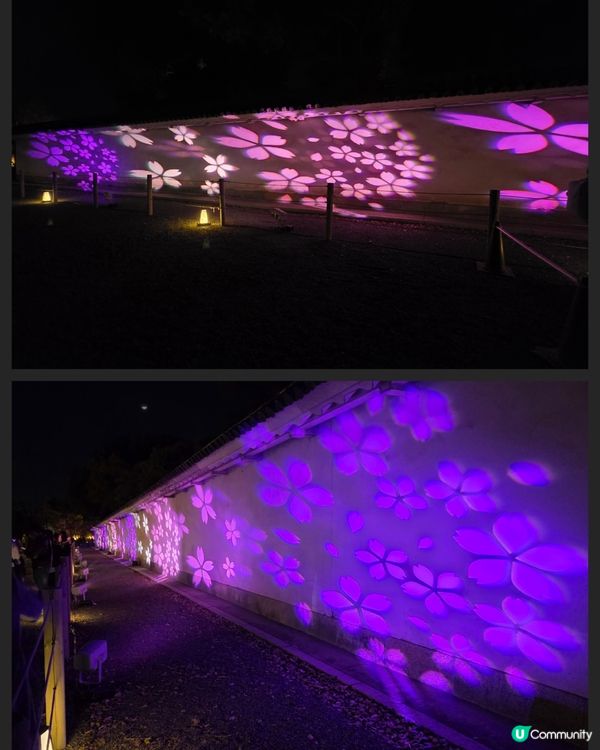 🌸京都『NAKED meets二條城櫻花祭』🌸