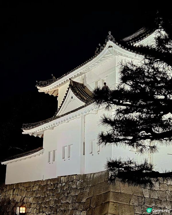 🌸京都『NAKED meets二條城櫻花祭』🌸