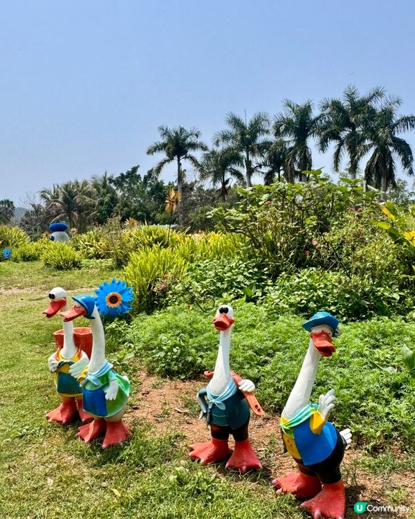 ✨✨快閃惠州海濱歡樂小鎮✨✨