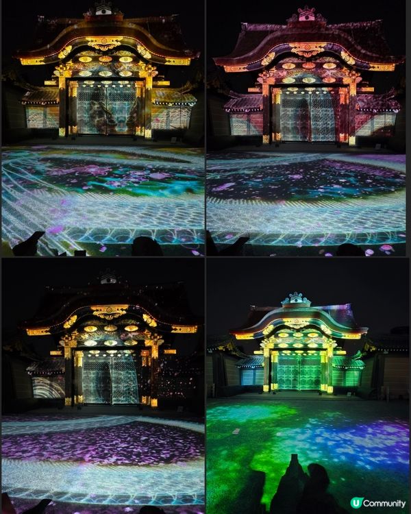 🌸京都『NAKED meets二條城櫻花祭』🌸