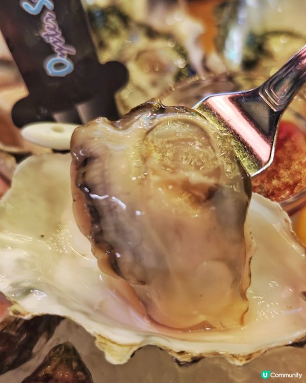 抵食💰十蚊🦪生蠔