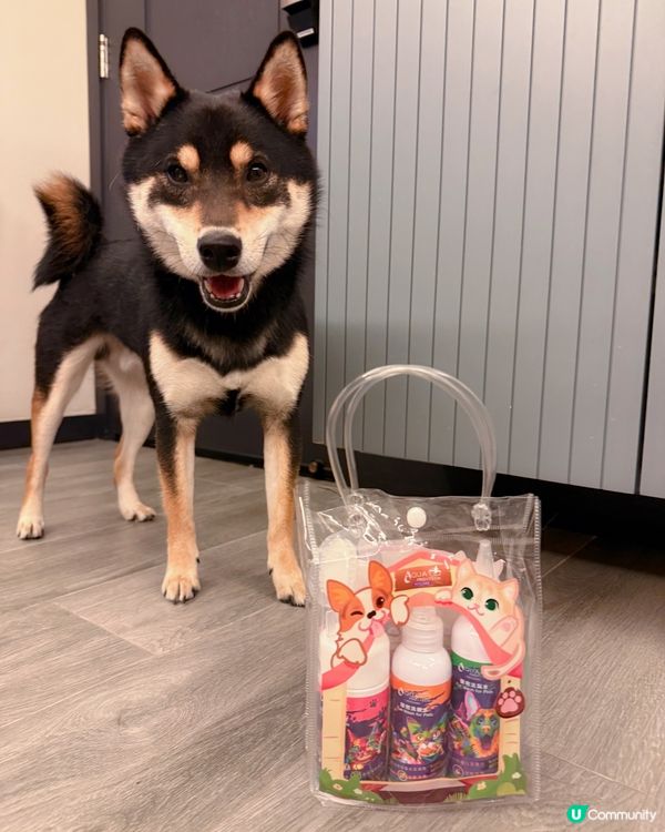 毛孩的SPA時光🛁✨【PET PET 洗護套裝】