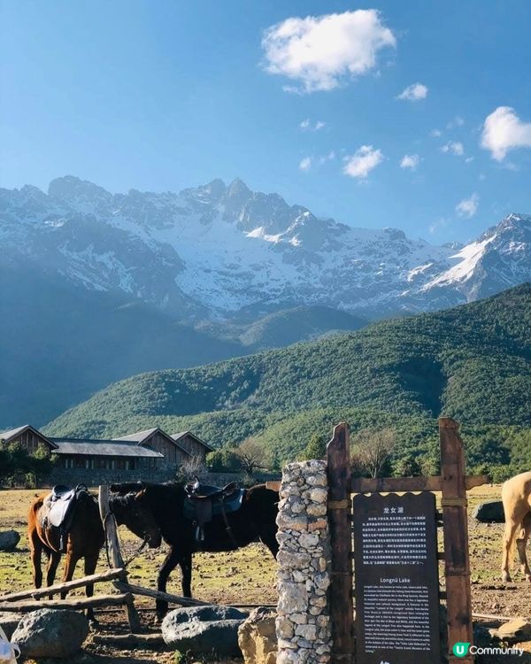 🤩保留納西族特色小村寨