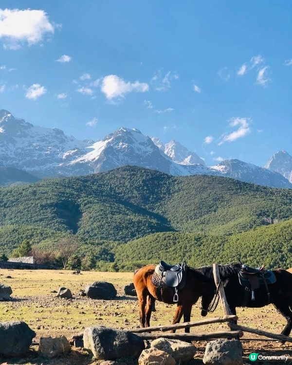 🤩保留納西族特色小村寨