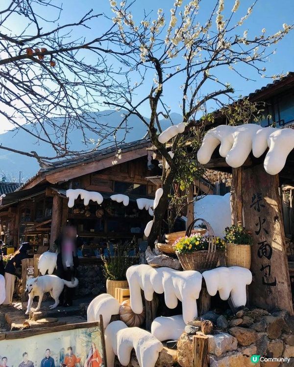 🤩保留納西族特色小村寨