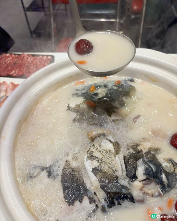 鵬嫂漁記🐟千島湖胖頭魚🔥