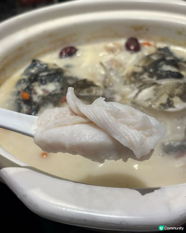 鵬嫂漁記🐟千島湖胖頭魚🔥