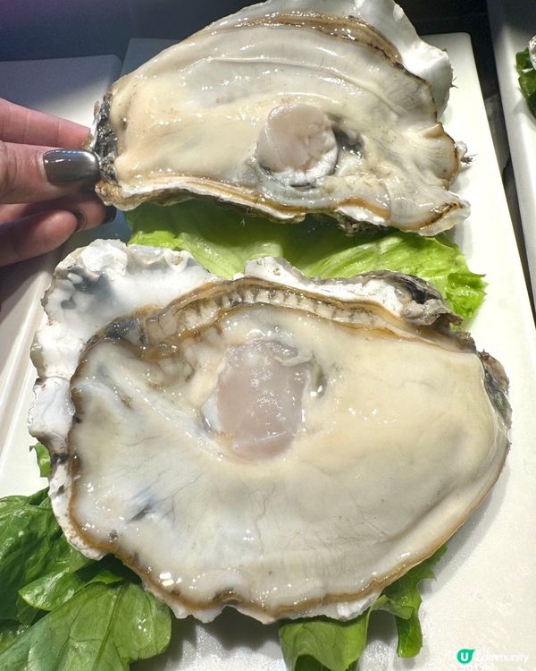 鵬嫂漁記🐟千島湖胖頭魚🔥