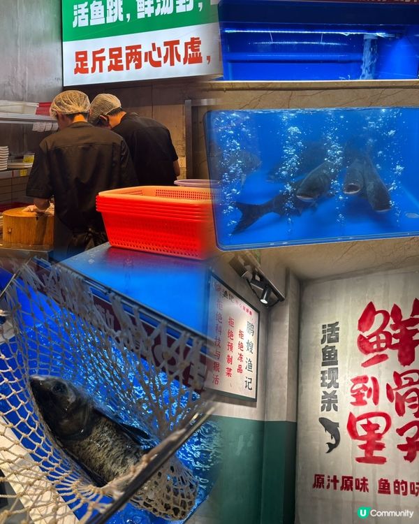 鵬嫂漁記🐟千島湖胖頭魚🔥