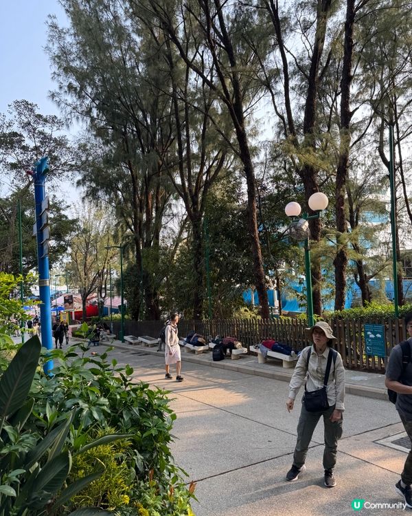 【海洋公園隱藏景點|搭完列車看日落才是浪漫天花板】🌅