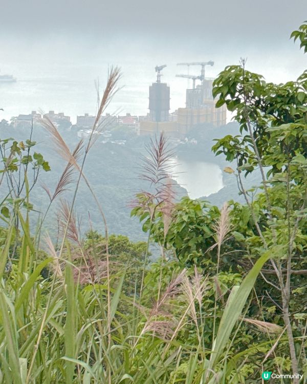 香港山頂纜車之旅🚡  
心心湖意外捕獲❤️