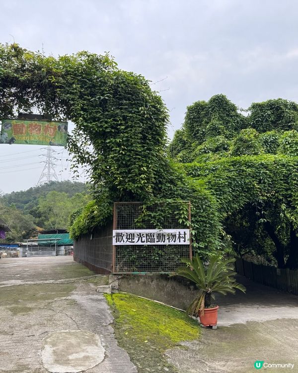 【大棠有機生態園|城市的喘息秘境】🌱