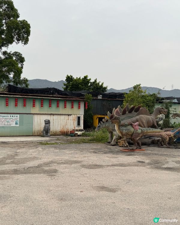 【大棠有機生態園|城市的喘息秘境】🌱