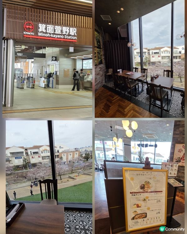 賞樱花 Cafe 推介🌸