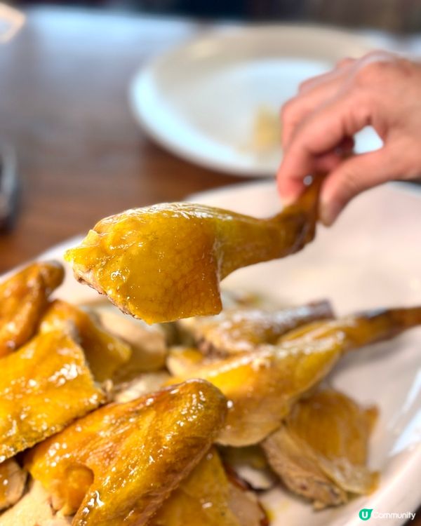 尖沙咀都食到正宗高級荷蘭菜 ！