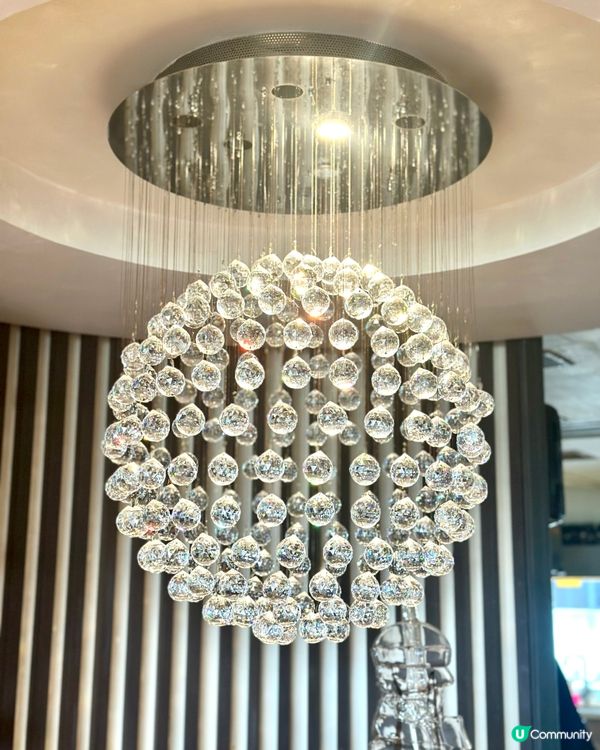 尖沙咀都食到正宗高級荷蘭菜 ！