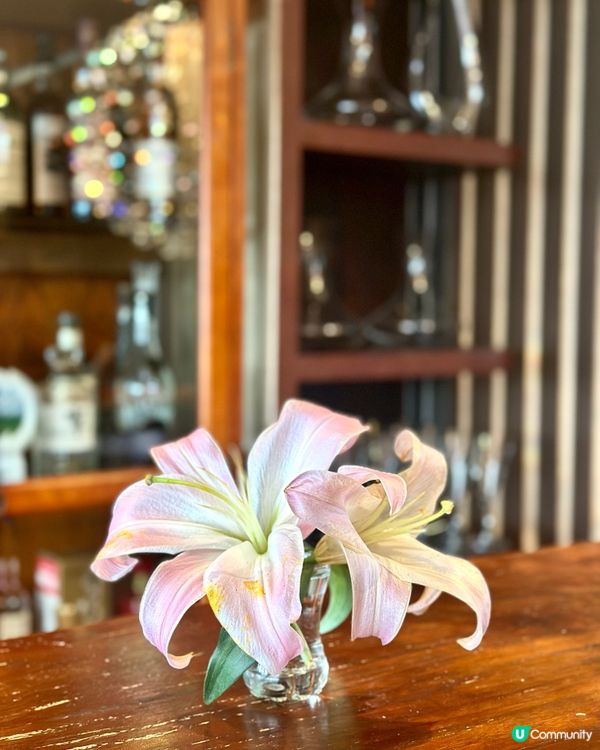 尖沙咀都食到正宗高級荷蘭菜 ！