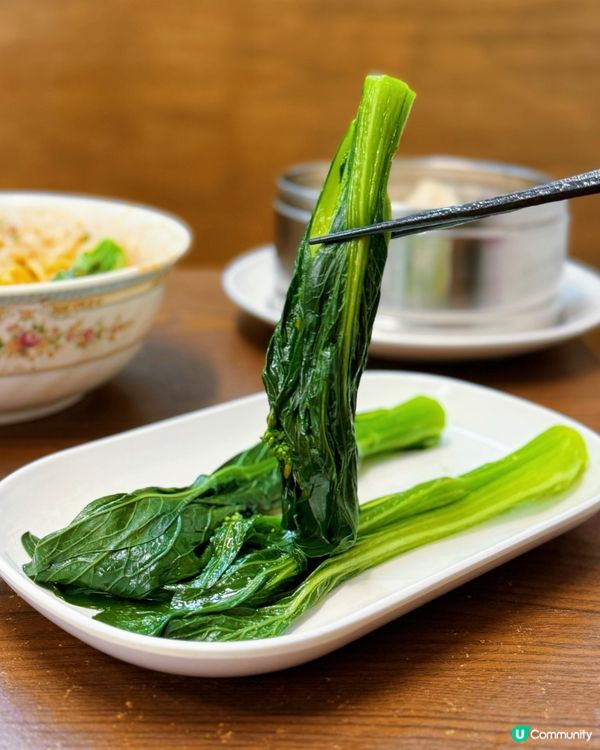 麥記美食💖平價價格米芝蓮味道上海菜✨必試香脆鍋貼🥟！
