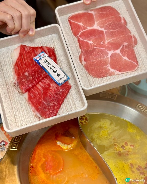 即撈活海鮮🌊鮮味上桌火鍋放題🔥