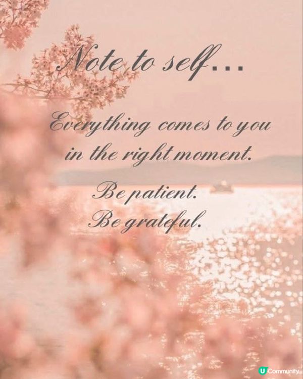 萬物有時，耐心等候 🙏