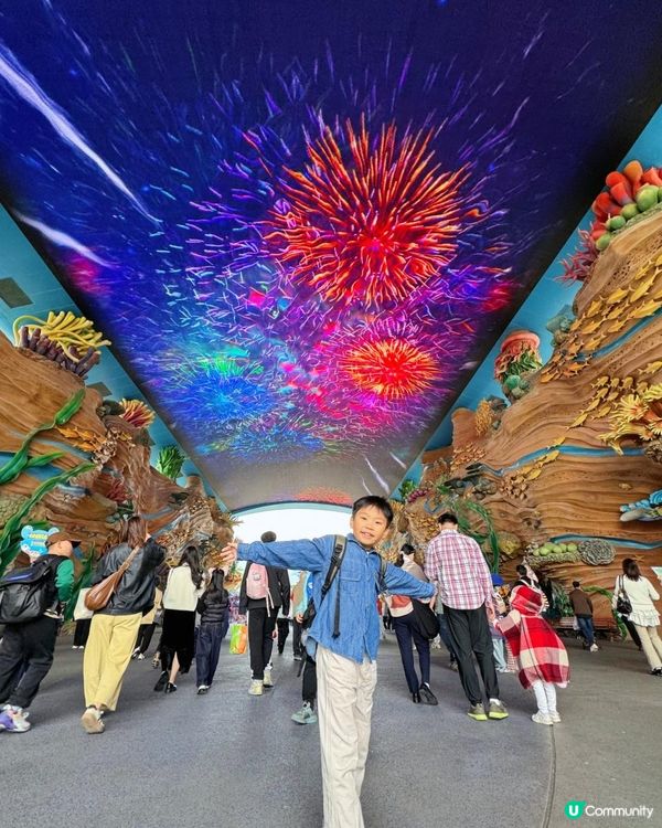 珠海長隆三日兩夜，玩到唔捨得走