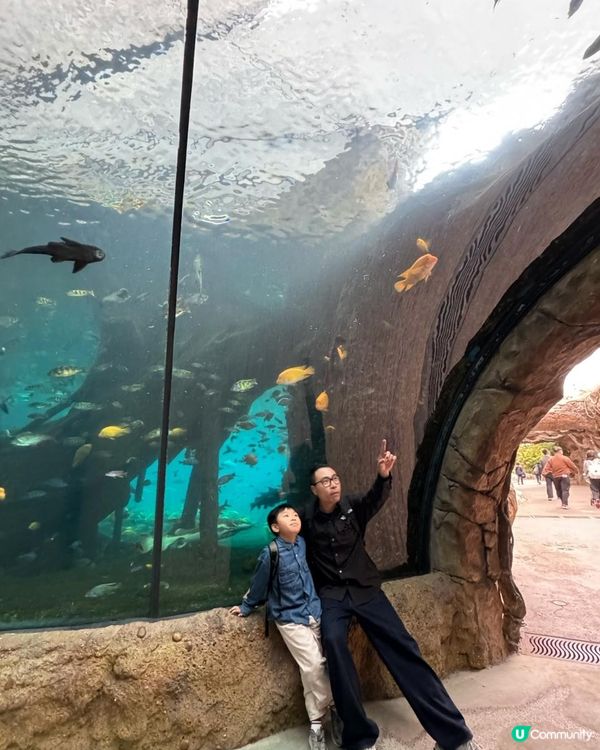 珠海長隆三日兩夜，玩到唔捨得走