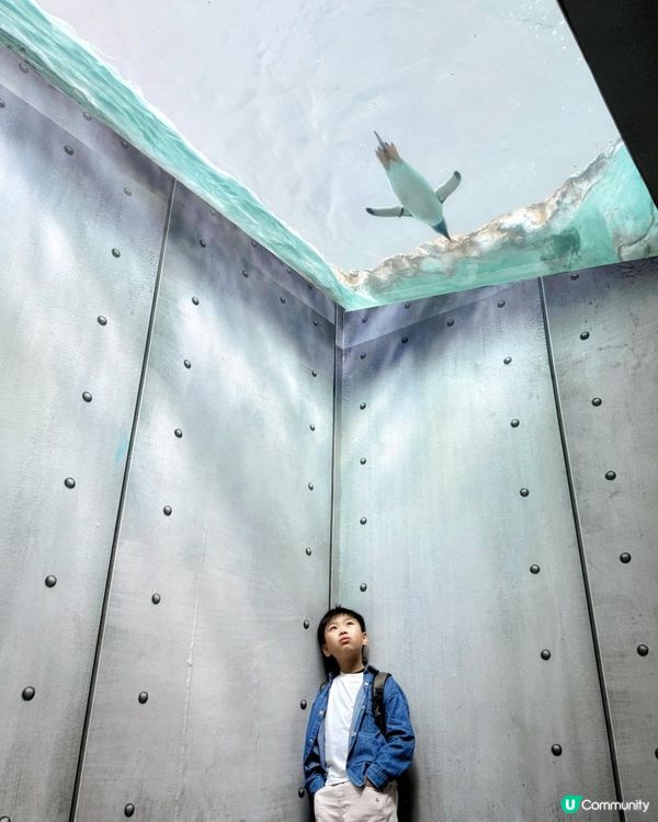 珠海長隆三日兩夜，玩到唔捨得走