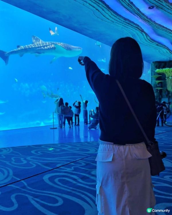 珠海長隆三日兩夜，玩到唔捨得走