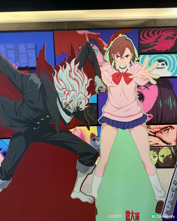 ## 又一城動漫天堂！🤩  
## 盲盒控必去！🥳