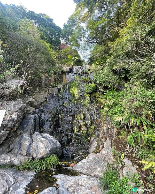 😍😍😍令人心境平靜的行山遊 - 西高山
