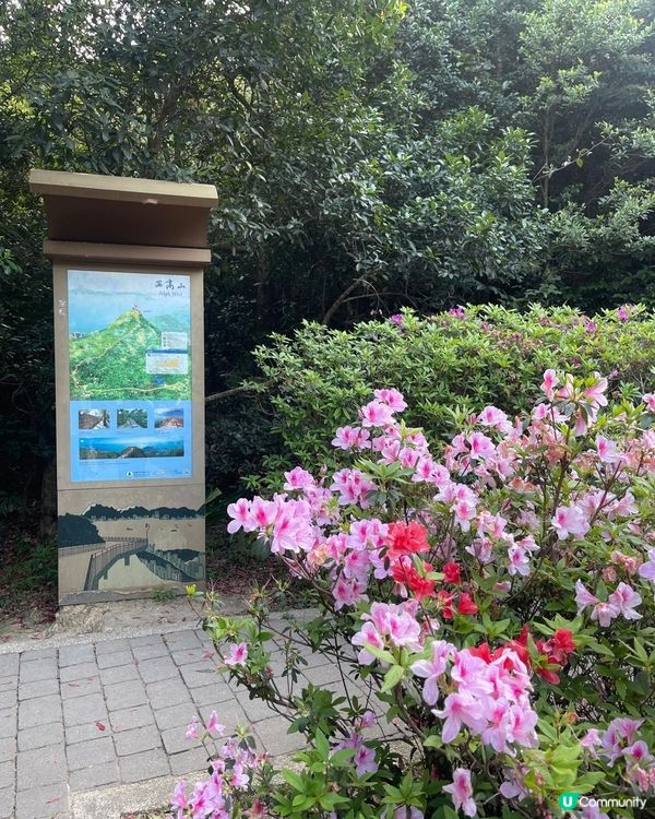 😍😍😍令人心境平靜的行山遊 - 西高山