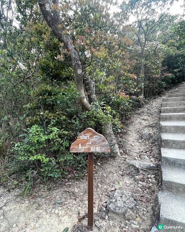 😍😍😍令人心境平靜的行山遊 - 西高山