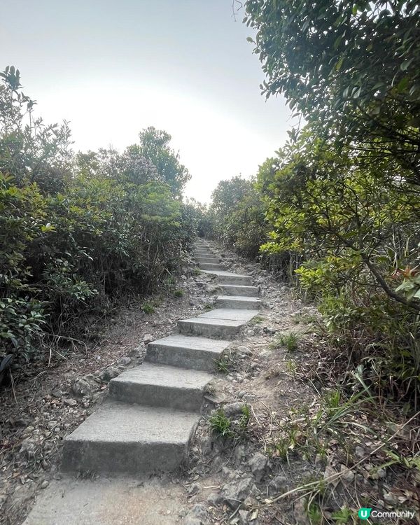 😍😍😍令人心境平靜的行山遊 - 西高山