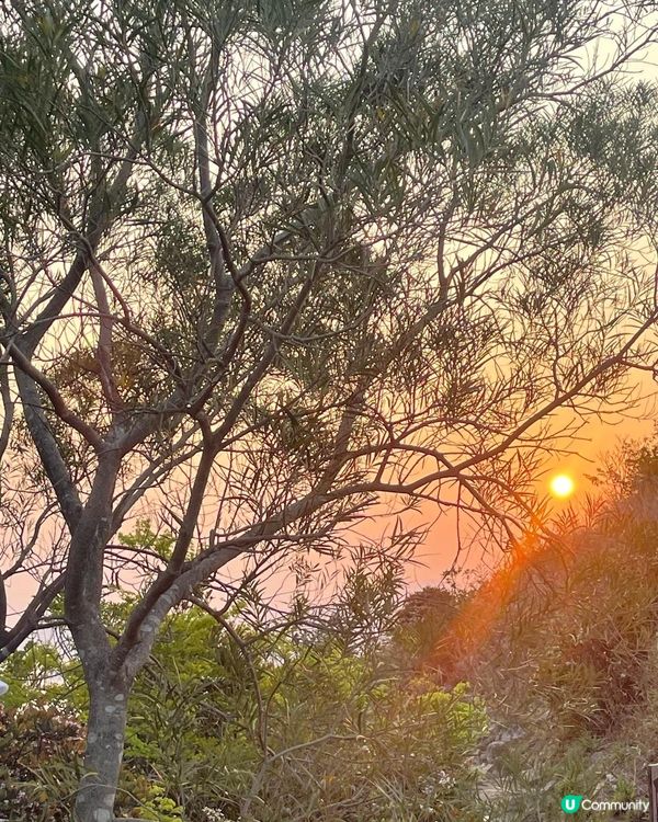 😍😍😍令人心境平靜的行山遊 - 西高山