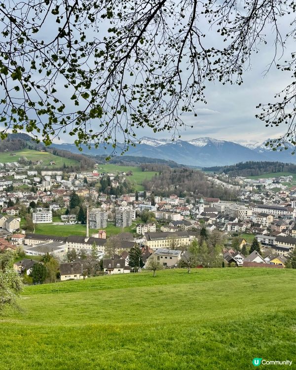 《徘徊於春風詩意中》 🌱