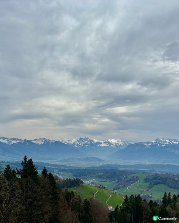 《徘徊於春風詩意中》 🌱