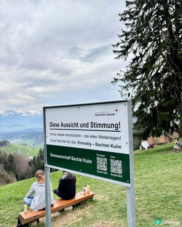 《徘徊於春風詩意中》 🌱