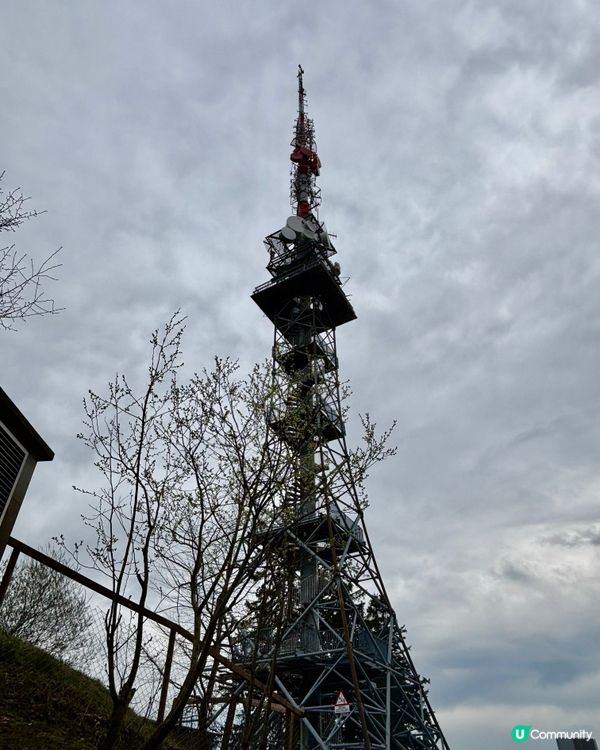 《徘徊於春風詩意中》 🌱