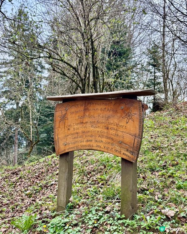 《徘徊於春風詩意中》 🌱