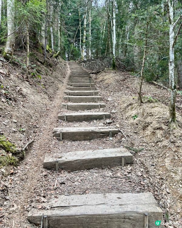 《徘徊於春風詩意中》 🌱