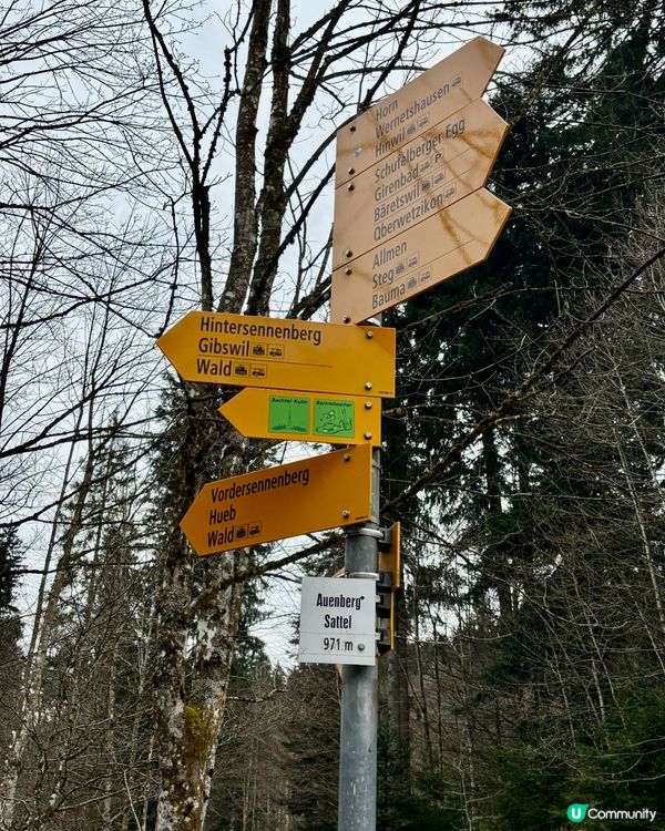 《徘徊於春風詩意中》 🌱