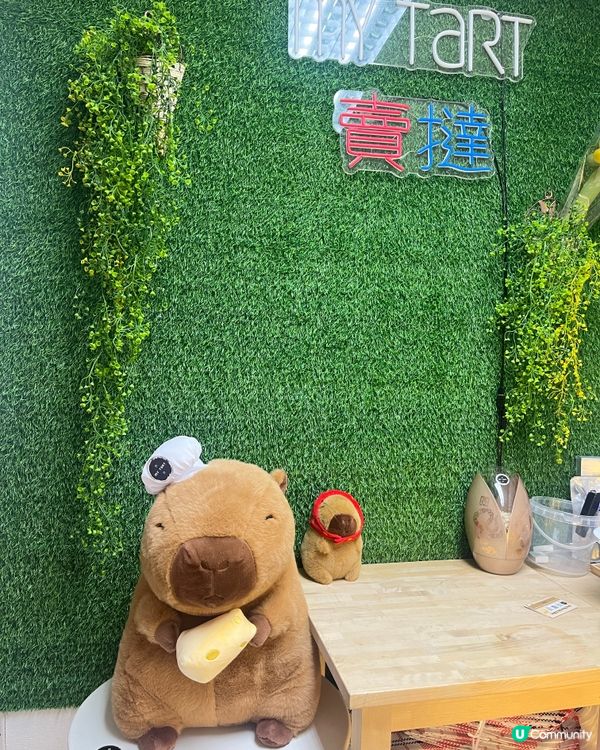 馬鞍山高質手工蛋糕撻 🍰  
馬鞍山美食沙漠？呢間蛋糕店打救