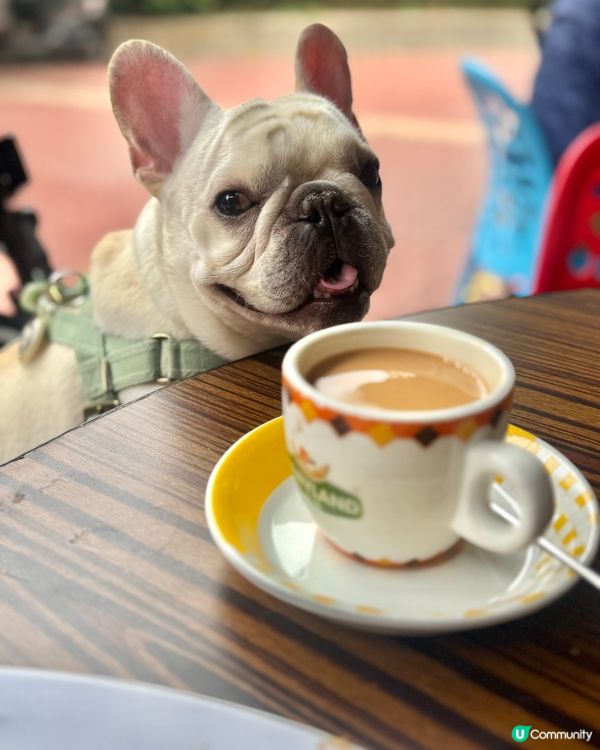 選擇豐富的茶餐廳