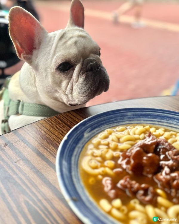 選擇豐富的茶餐廳