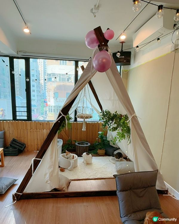 窩夫好高質❤️