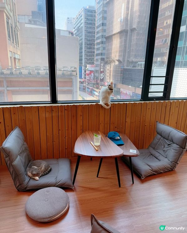 窩夫好高質❤️